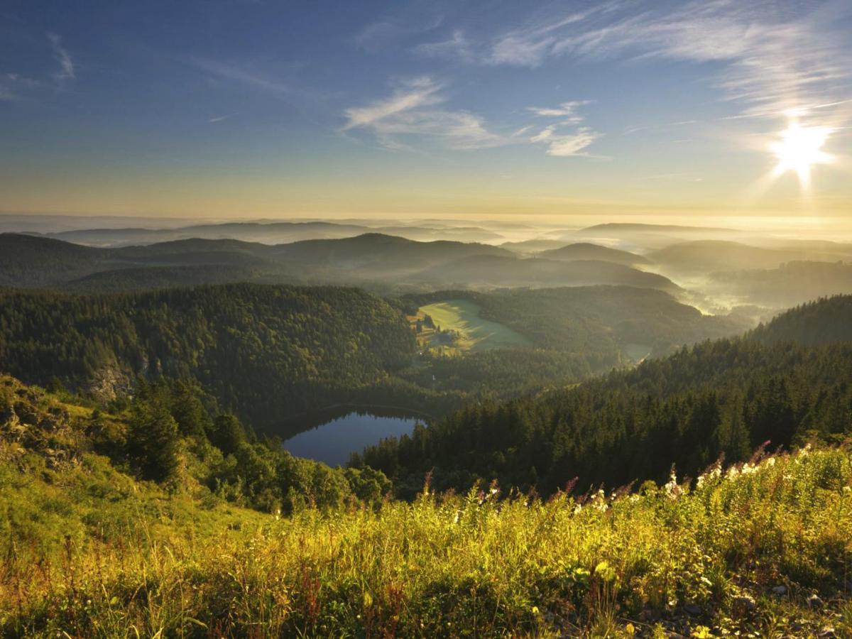 Black Forest Luxury Apartment Waldglueck Mit Sauna 코니그스펠트임슈바르즈발트 외부 사진