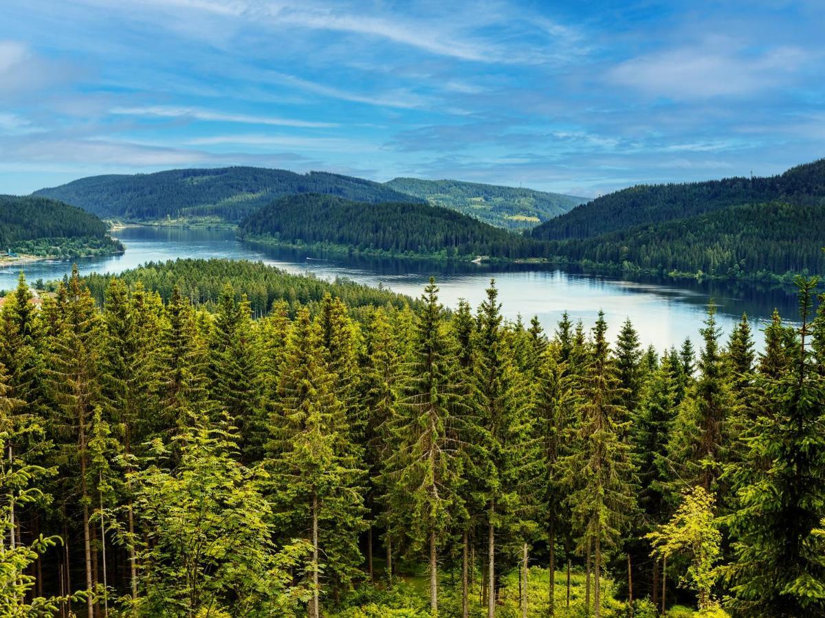 Black Forest Luxury Apartment Waldglueck Mit Sauna 코니그스펠트임슈바르즈발트 외부 사진