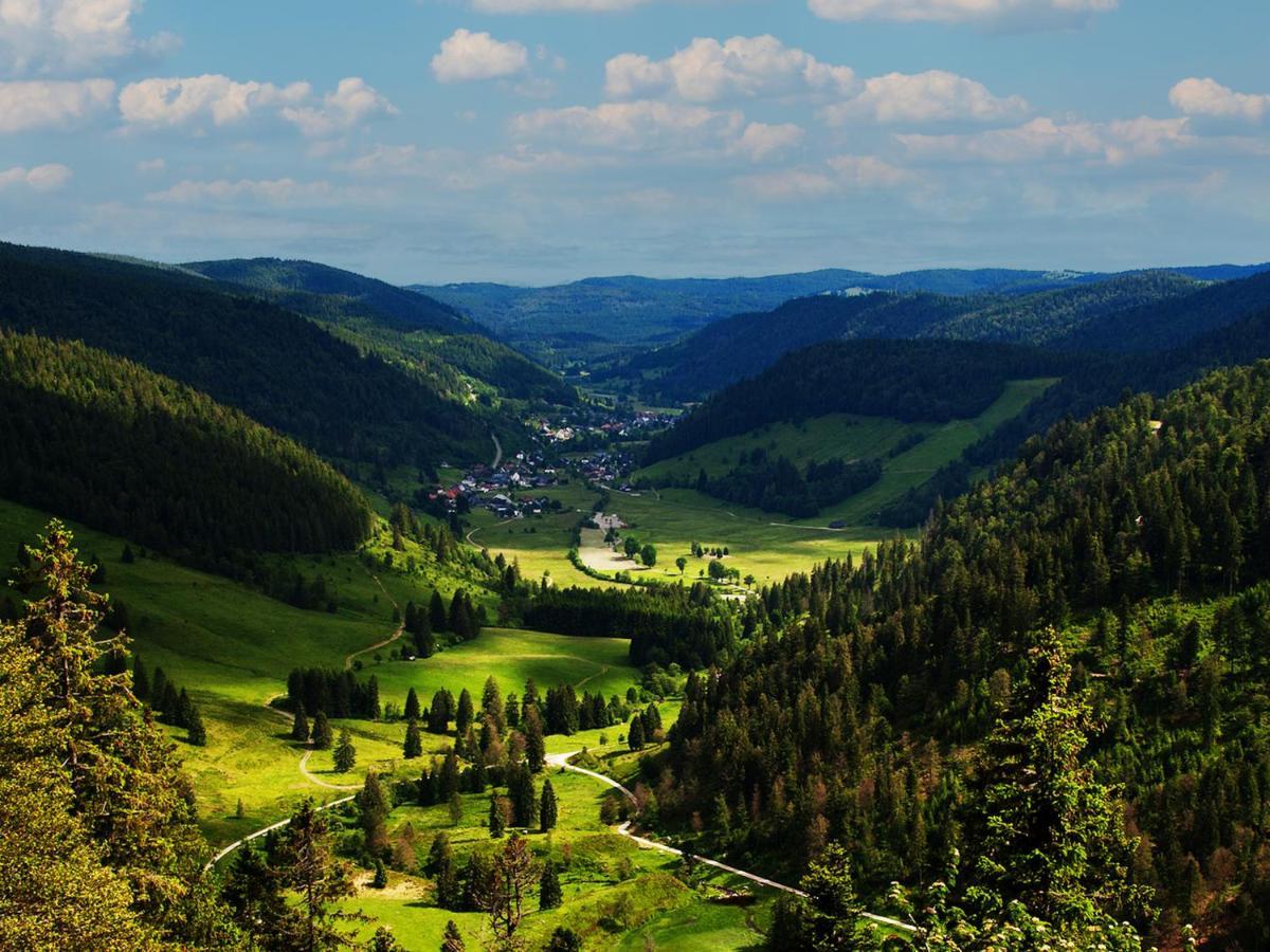 Black Forest Luxury Apartment Waldglueck Mit Sauna 코니그스펠트임슈바르즈발트 외부 사진