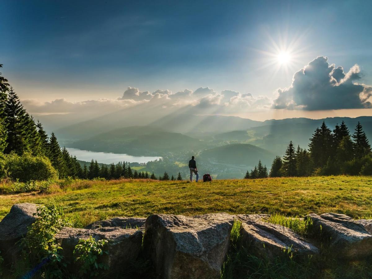 Black Forest Luxury Apartment Waldglueck Mit Sauna 코니그스펠트임슈바르즈발트 외부 사진
